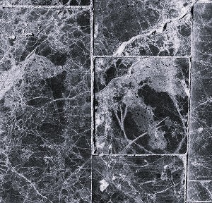 tiles roof of texas Water Jet Services project three img